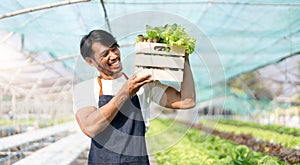 asian young friendly man farmer smiling and holding organic hydroponic fresh green vegetables produce wooden box