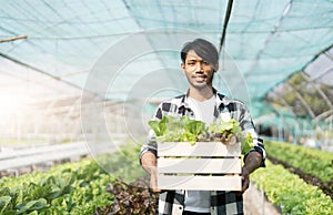 asian young friendly man farmer smiling and holding organic hydroponic fresh green vegetables produce wooden box