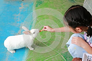 Asian young girl kid feeding rabbit animal in zoo