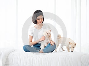 Asian young girl sitting and playing with Shiba Inu dog Japanese pedigree and adorable maltese long hair on her white bed and cozy