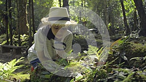 Asian young girl wearing straw hat sitting and using magnifying glass to see the details of green plants and insects for education