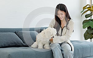 Asian young happy cheerful female owner sitting smiling on cozy sofa couch playing fetching blue ball with best friend small