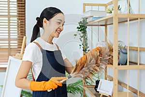 Asian young housework cleaning working in the house. The woman cleans the shelf wood with feather duster