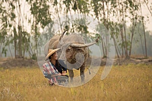 Asian young lady sit beside buffalo and hold radio