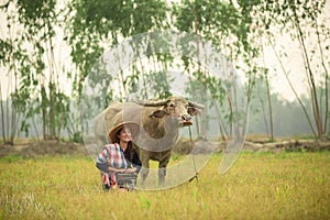 Asian young lady sit beside buffalo and hold radio