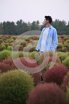 Asian young man stand at colorful Bassia scoparia field photo