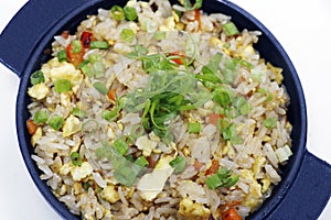 asiatic style chicken and egg stir fried rice in close up in a bowl