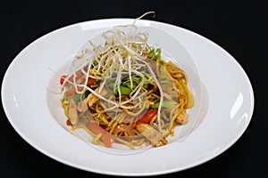 Asiatic style chicken noodle with bean sprouts