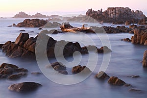 Asilomar Marine Reserve, Pacific Grove, California, USA