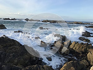 Asilomar State Beach