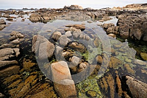 Asilomar State Beach, Pacific Grove near Monterey, California, US