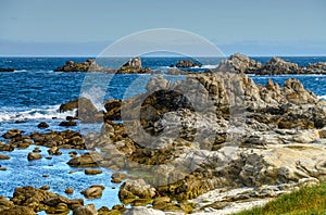 Asilomar State Marine Reserve