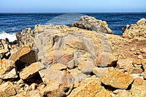 Asilomar State Marine Reserve California