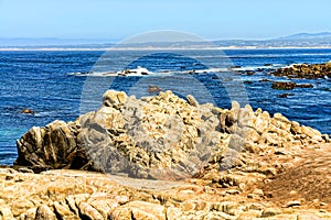 Asilomar State Marine Reserve California