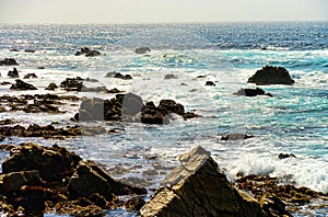 Asilomar State Marine Reserve California