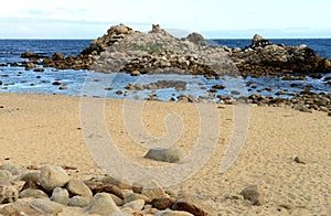 Asilomar State Marine Reserve California