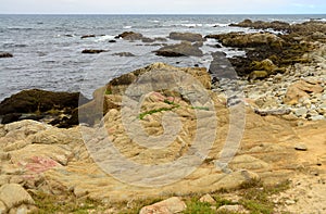 Asilomar State Marine Reserve California