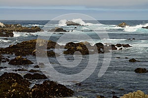 Asilomar State Marine Reserve California