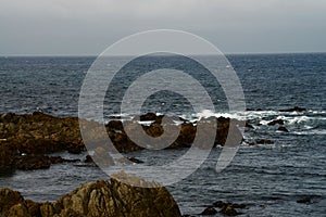 Asilomar State Marine Reserve California