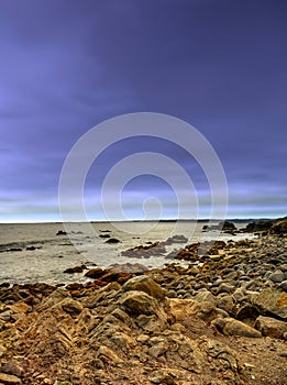 Asilomar State Marine Reserve California