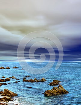 Asilomar State Marine Reserve California