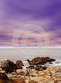 Asilomar State Marine Reserve California