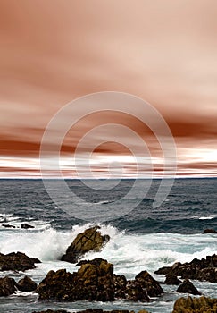 Asilomar State Marine Reserve California