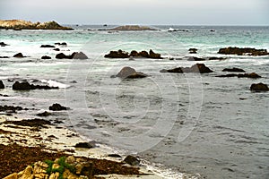 Asilomar State Marine Reserve California