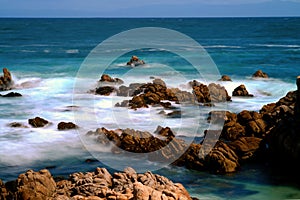 Asilomar State Marine Reserve California