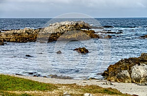 Asilomar State Marine Reserve photo