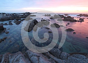 Asilomar State Park beach, near Monterey, California, USA