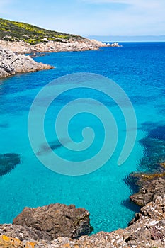 Asinara island in Sardinia, Italy photo