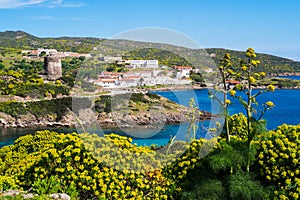 Asinara island in Sardinia, Italy photo