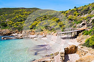 Asinara island in Sardinia, Italy