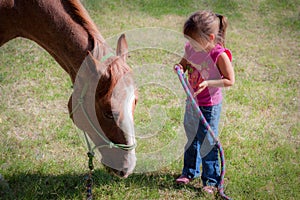 Asking the Horse Why