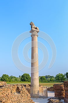 Asokan pillar at Kutagarasala Vihara, Vaishali, Bihar, India