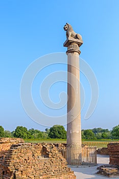 Asokan pillar at Kutagarasala Vihara, Vaishali, Bihar, India