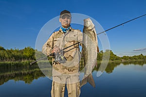 Asp fishing. Fisherman with big aspius fish