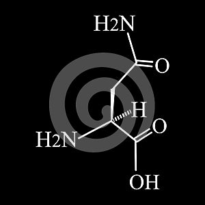 Asparagine is an amino acid. Chemical molecular formula Asparagine is amino acid. Vector illustration on isolated
