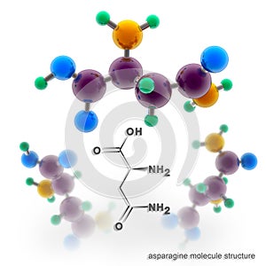 Asparagine molecule structure