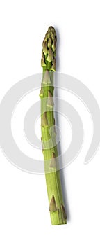 Asparagus