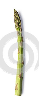 Asparagus