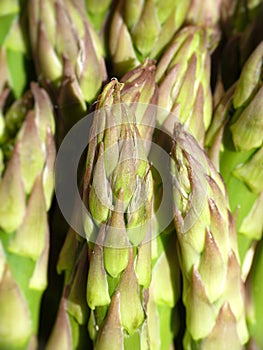 Asparagus