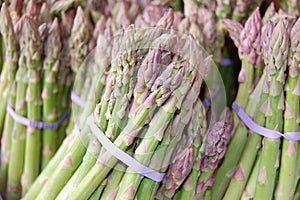 Asparagus