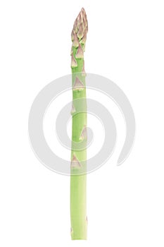 Asparagus