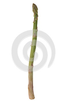 Asparagus