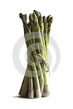 Asparagus against a white background