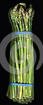 Asparagus on a Black Background