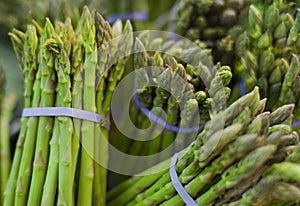 Asparagus in bunch