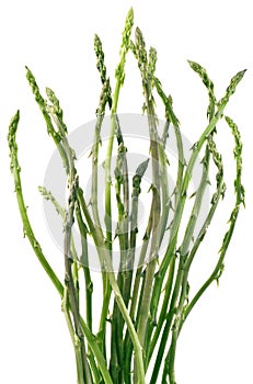 Asparagus Bunch Cutout